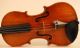 Old Fine Master Violin Lab.  R.  Antoniazzi Geige Violon Violino Violine Fiddle String photo 2