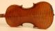 Old Fine Master Violin Lab.  R.  Antoniazzi Geige Violon Violino Violine Fiddle String photo 4