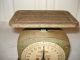Antique/vintage Universal Household Scale By Landers,  Frary & Clark Scales photo 5