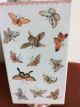 Antique Vintage Chinese Porcelain Famille Rose Butterfly Butterflies Square Vase Vases photo 2