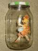 Vintage Glass Jar Canister With Lid - 10 