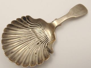 Antique 1837 Sterling Silver Scottish Tea Caddy Spoon  Layby Ava photo