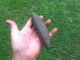 Fine Quality Pick Bannerstone Arrowheads Indian Artifacts Rocks & Minerals Spear Primitives photo 2