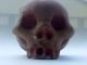 Pre Columbian Mayan Altar Skull The Americas photo 9