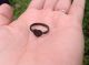 Medieval Bronze Decorated Finger Ring 13th Century Ad British Found British photo 2