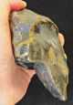 Lower Palaeolithic,  Bifacial Proto Handaxe From Kent P477 Neolithic & Paleolithic photo 1