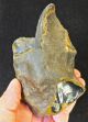 Lower Palaeolithic,  Bifacial Proto Handaxe From Kent P477 Neolithic & Paleolithic photo 3