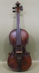 Antique Figure Maple 4/4 German Violin After Jacobus Stainer, String photo 1