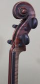 Antique Figure Maple 4/4 German Violin After Jacobus Stainer, String photo 7
