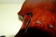 18 Century Antique Violin For Restoration Ca.  1730 Signed Joannes Or Johnnes. String photo 11