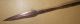 Congo Old African Spear Ancien Lance D ' Afrique Yakoma Kongo Afrika Africa Speer Other African Antiques photo 2