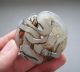 Old China Jade Hand - Carved Figure Pendants P 34 Necklaces & Pendants photo 1