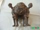 African Bronze Ritual Vessel Of Yeruba Bronze 1920 Sculptures & Statues photo 5