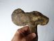 Very Rare Ancient Double Axe Stone With Shaft Png Papua Guinea Pacific Islands & Oceania photo 3