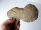 Very Rare Ancient Double Axe Stone With Shaft Png Papua Guinea Pacific Islands & Oceania photo 5