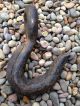 Large Antique Maritime Cast Iron Whaling Ship Hook Other Maritime Antiques photo 7