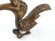 Wood Carving Borneo Hornbill Bird Sculpture Tribal Iban Sacred Animal Pacific Islands & Oceania photo 3