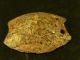 Early Cherokee Indian Turtle Shell Talisman Pendant Hard Stone Pre - 1600 Native American photo 1