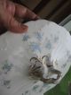 Pair Us Pottery Company Blue Floral Porcelain Wellsville Ohio Oval Tureen Tureens photo 7