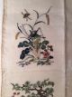 Antique 19th C Chinese Embroidered Panel Sleeve Bands Embroidery Finest Stitches Robes & Textiles photo 11