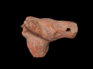Roman Terracota Statue Fragment,  Horse Head, photo