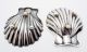 Vintage Sanborns Mexico Scallop Shell Ashtrays In Sterling Silver Ash Trays photo 2