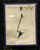 Victorian High Domed France Cut Steel Slides On Velvet Card Buttons photo 3
