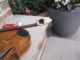 Antique German Kurt Gutter ? Violin & Bow Antique Vintage For Restore String photo 5