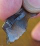 Lup Magdalenian Denticulated Bladelet With Point,  From Kent K89 Neolithic & Paleolithic photo 5