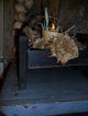 Primitive Early Look Bin,  Old Cigar Box,  Gourd Light,  Dried Sunflowers Heads Primitives photo 3