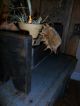 Primitive Early Look Bin,  Old Cigar Box,  Gourd Light,  Dried Sunflowers Heads Primitives photo 4