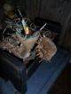 Primitive Early Look Bin,  Old Cigar Box,  Gourd Light,  Dried Sunflowers Heads Primitives photo 5