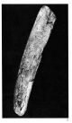 On Of The Oldest Art Artifacts - Drawn Venus,  25 - 30 000 Years,  Replica Neolithic & Paleolithic photo 4
