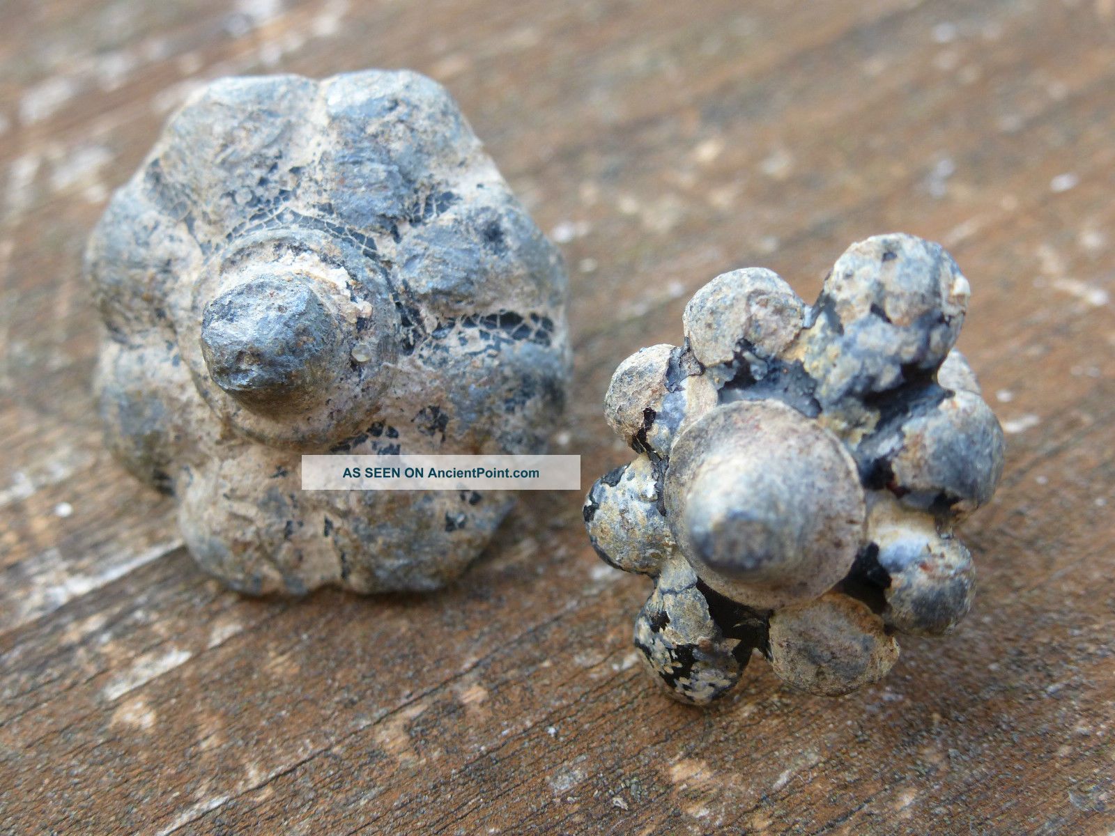 X2 Post Medieval C1600 - 1800 Lead Alloy Tobacco Jar Handles Detecting Finds British photo