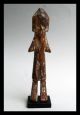 An Perky Adan Ancestor Figure From Ghana Other African Antiques photo 4