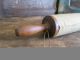 Early Antique One Piece Rolling Pin Surface Muslin Sleeve Primitives photo 2