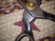 Vintage R.  Heinisch Inventor 12 ' Taylor Scissors Brass Acorn Late 1800 ' S Tools, Scissors & Measures photo 4