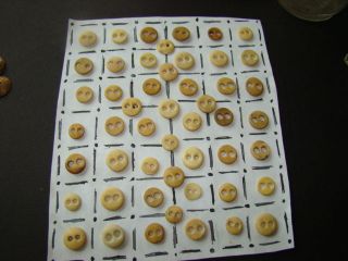 50 Antique Buttons Civil War Era 2 Hole Underwear Bone Reenactment photo