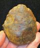 Acheulian,  Small Unifacial Cordiform Biface,  Found Kent A763 Neolithic & Paleolithic photo 1