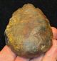 Acheulian,  Small Unifacial Cordiform Biface,  Found Kent A763 Neolithic & Paleolithic photo 4