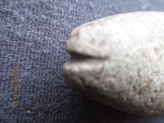 Ancient Charm Stone Atl - Atl Weight ? Se Oregon Usa Harney Co photo