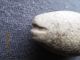 Ancient Charm Stone Atl - Atl Weight ? Se Oregon Usa Harney Co The Americas photo 1