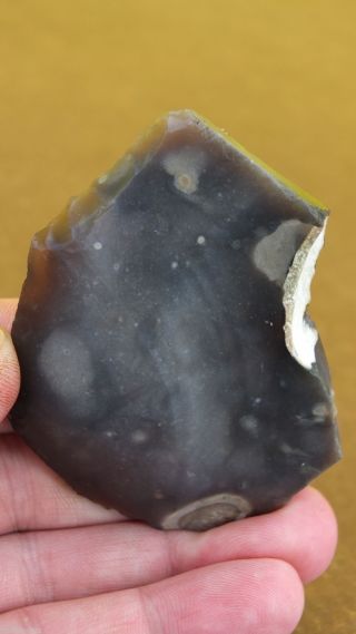Early Upper Palaeolithic Double Burin & Scraper,  From Kent K82 photo