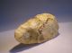 Video Top Acheulean Biface From France Neolithic & Paleolithic photo 5