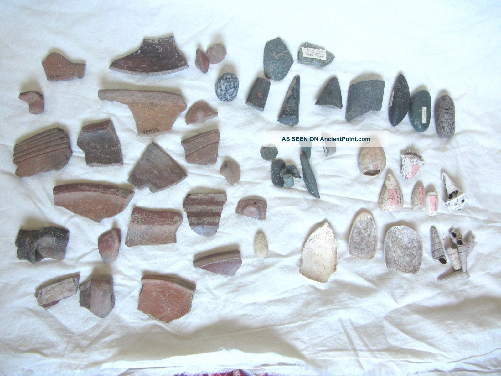 Taino And Ingiri Pottery,  Stone,  And Shell Artifacts Pre - Columbian The Americas photo