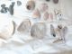 Taino And Ingiri Pottery,  Stone,  And Shell Artifacts Pre - Columbian The Americas photo 4