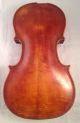 Antique Hungarian 4/4 Violin By Placht Testverek 1880 Body Tiger Parts/display String photo 8