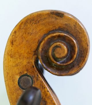 18th Century Great Very Old 4/4 Violin L.  : I.  P.  Cordanus 1703 Violon Geige photo