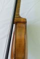 18th Century Great Very Old 4/4 Violin L.  : I.  P.  Cordanus 1703 Violon Geige String photo 8