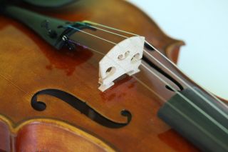 Fine 4/4 Violin Labeled Ceruti 1810 Geige Violon Violine Violino Viola Fiddle photo